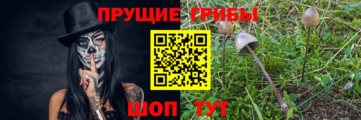 Вольск  Галлюциногенные грибы MAGIC MUSHROOMS  Галлюциногенные грибы ЛСД  Вход с VPN 